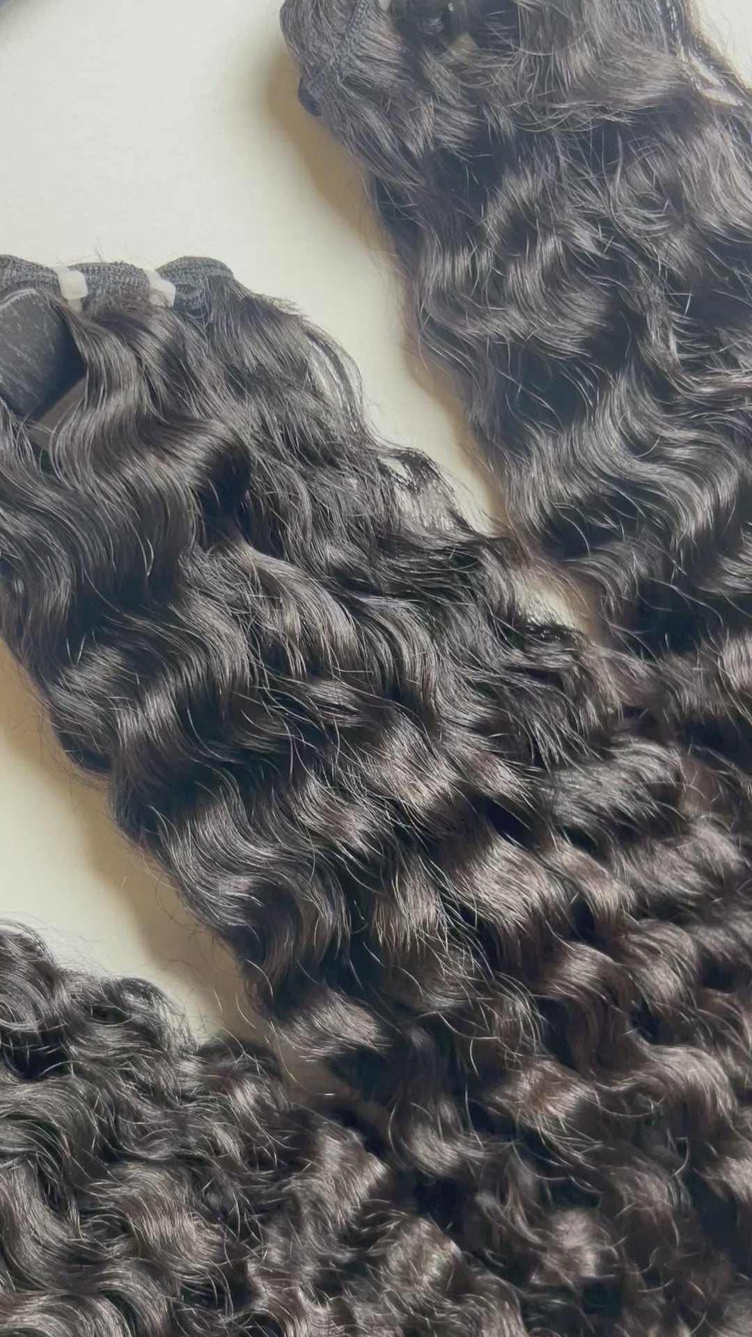 Burmese Curly-  3 BUNDLE DEAL